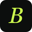 BotSharper MCP logo, by BotSharper