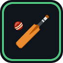 Cricket for Noobs MCP logo, by Cricket for Noobs