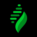Eevy MCP logo, by Eevy