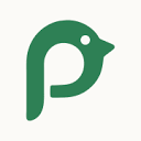 Percher MCP logo, by Percher