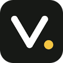 Veripoint MCP logo, by Veripoint